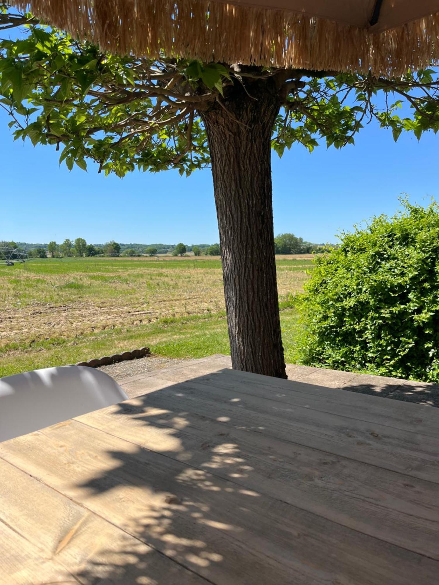 Gite 1, Domaine Logis Gascogne Saint-Justin  Exterior photo